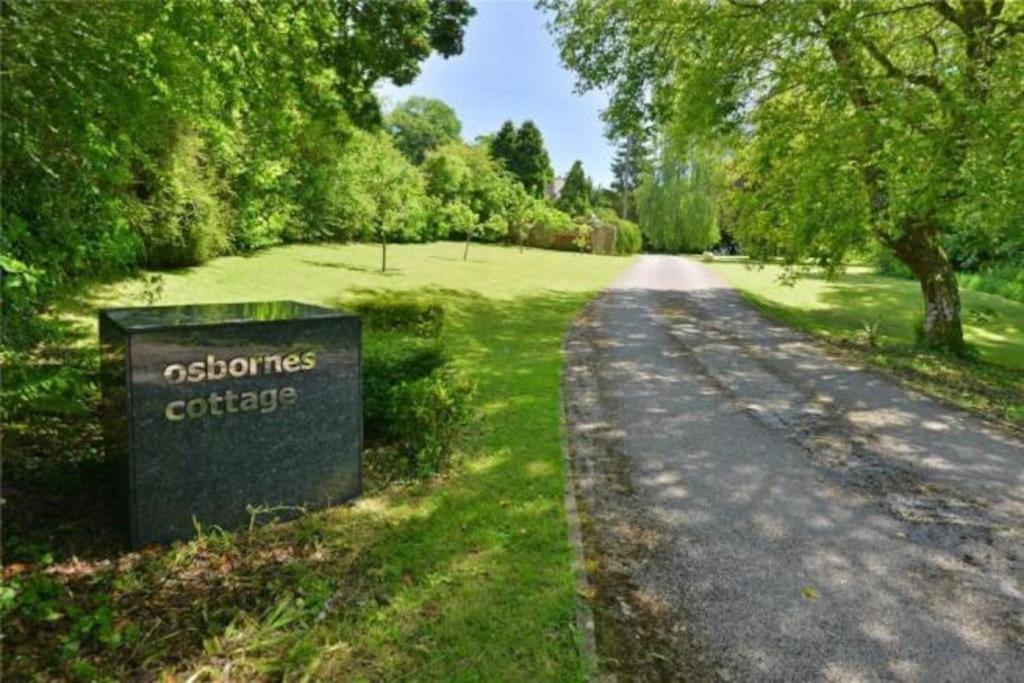 Osbornes Holiday House Near Exeter With Swimming Pool ภายนอก รูปภาพ